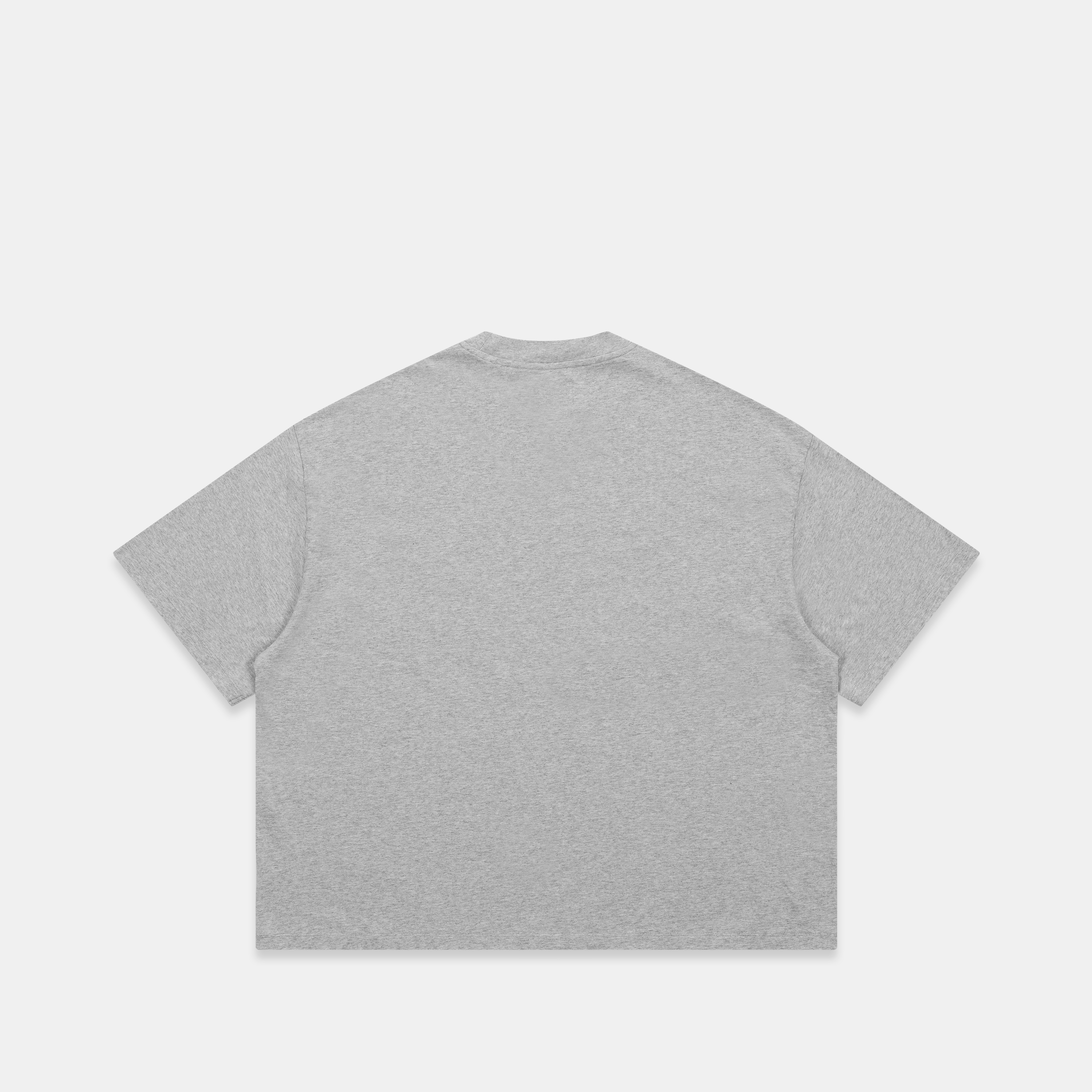Suspicious Antwerp GTD2 / SSPCS Tee - Neutral Heather
