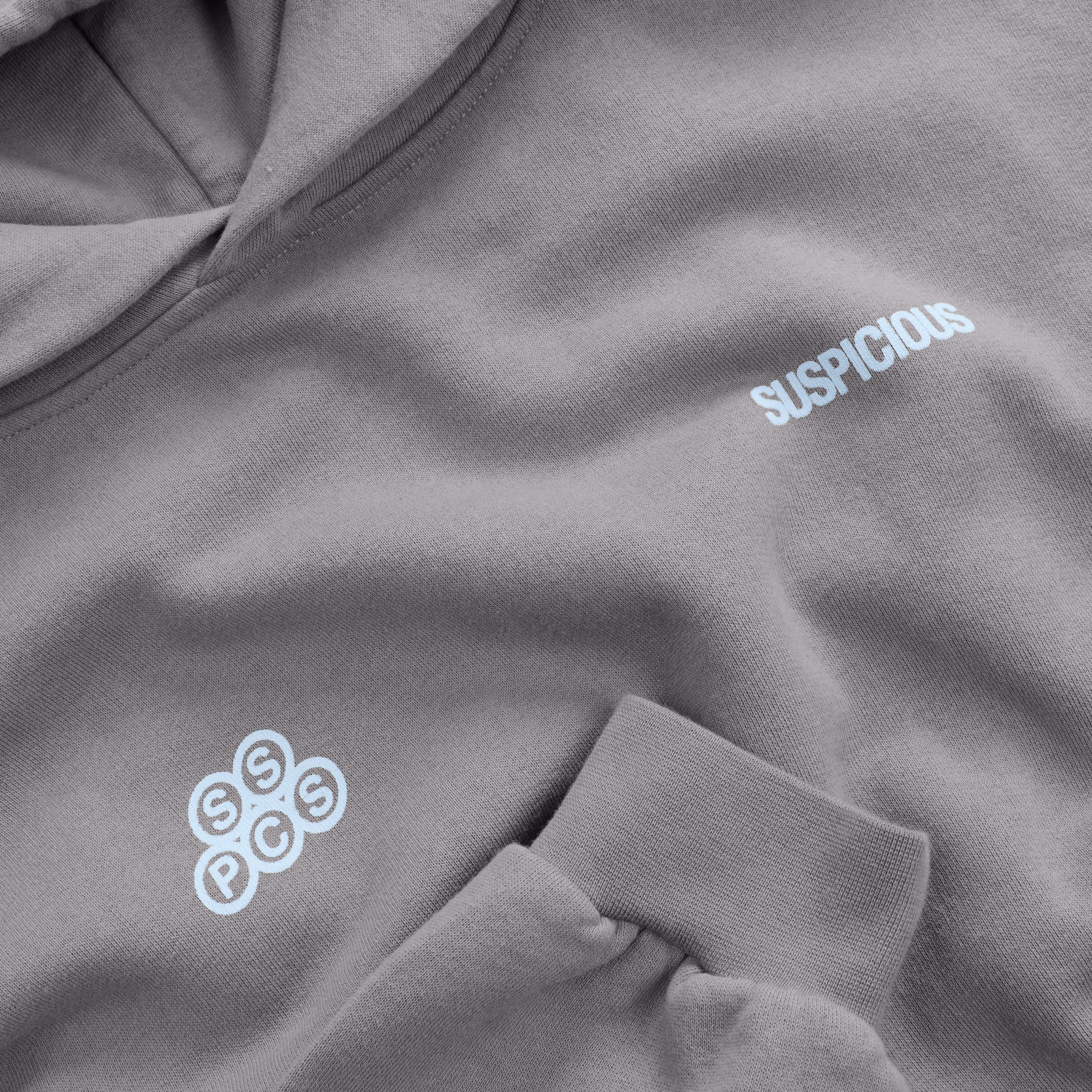 Suspicious Antwerp Winter1 / Landscape Hoodie - Slate