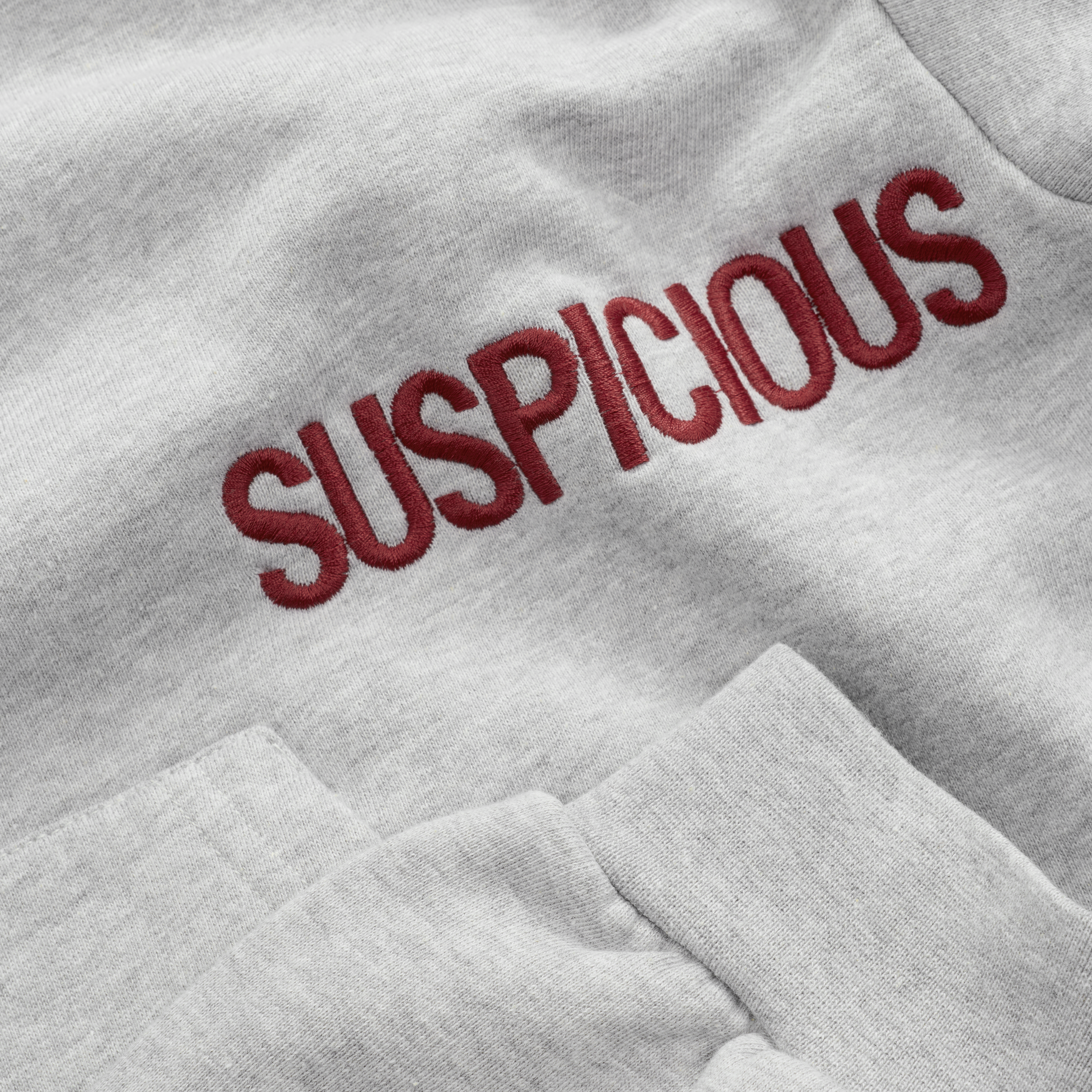Suspicious Antwerp Fall / Core Hoodie - Neutral Heather