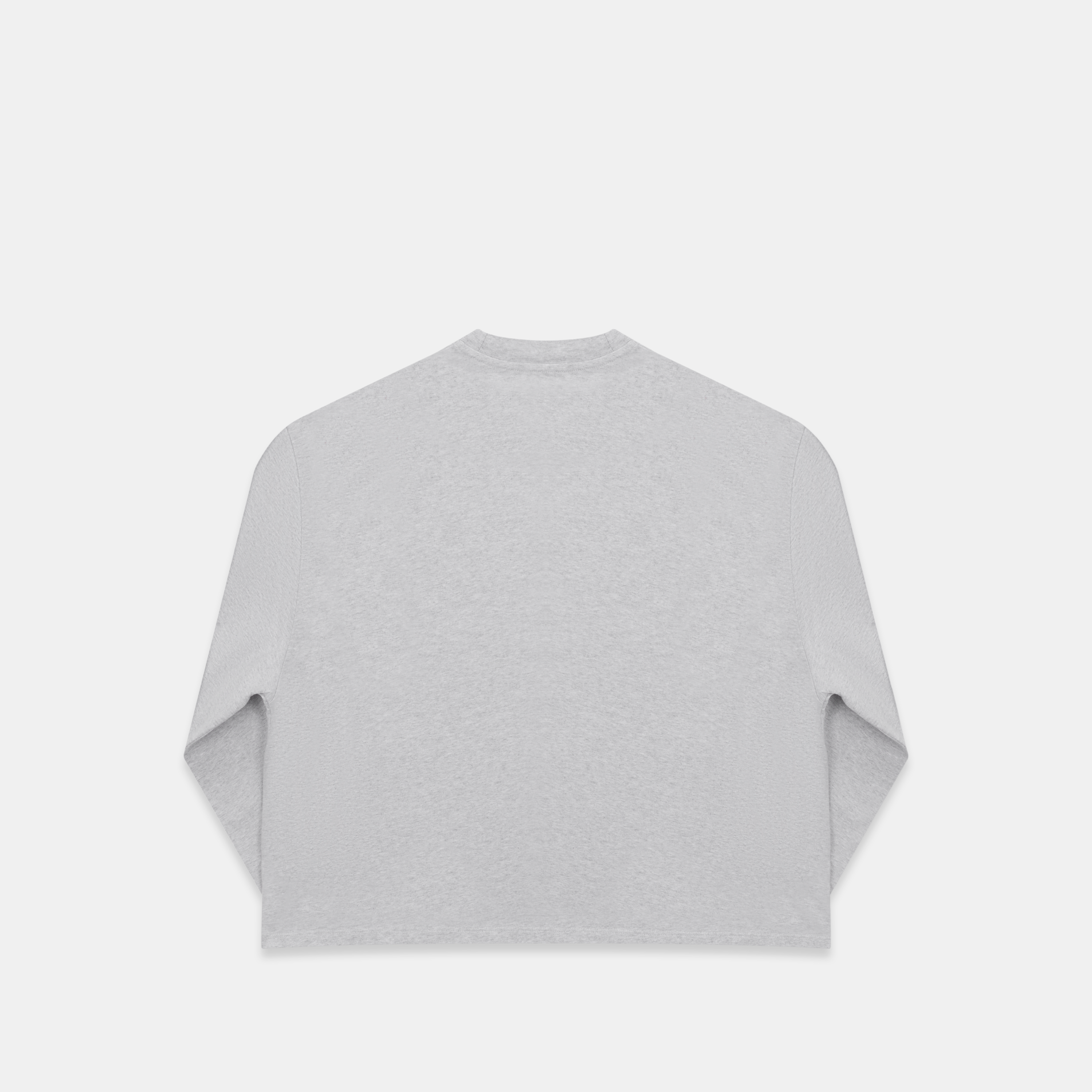Suspicious Antwerp Fall / Core Longsleeve - Neutral Heather