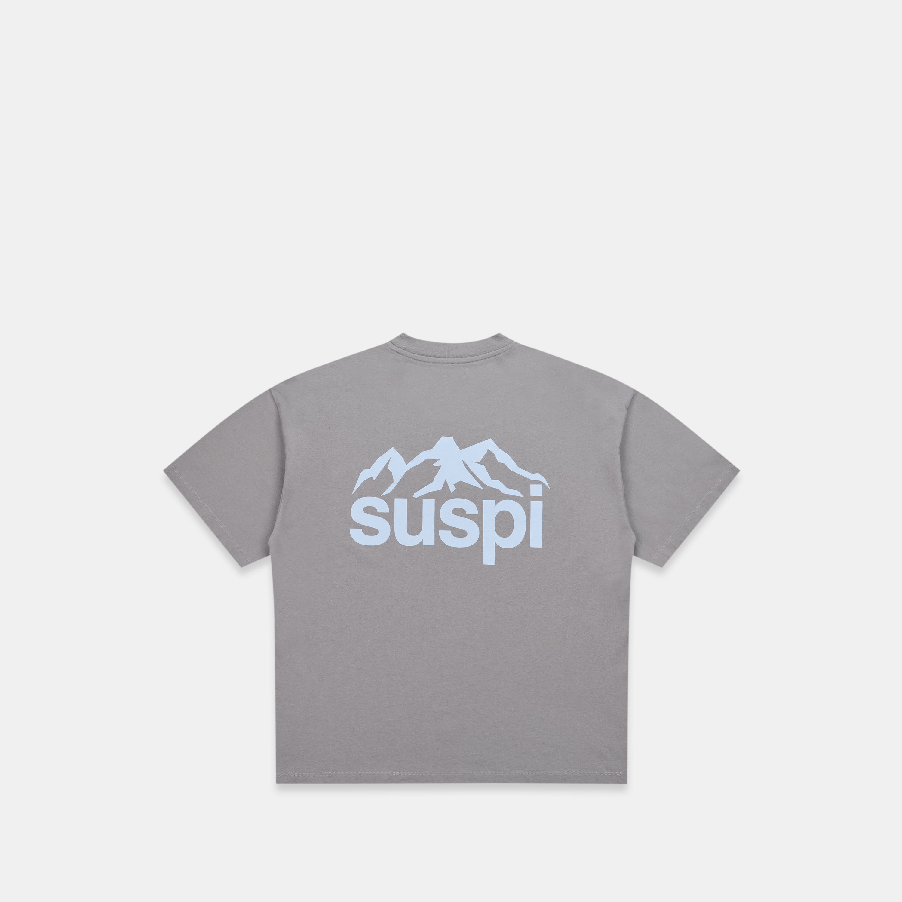 Suspicious Antwerp Winter1 / Landscape Tee - Slate