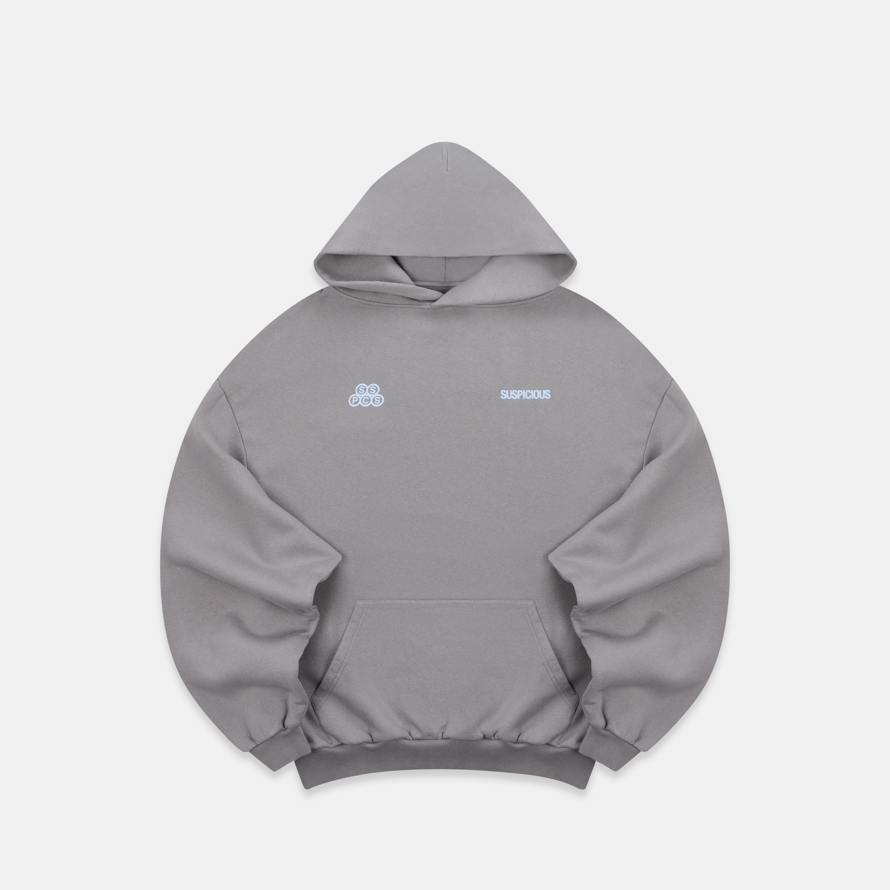 Suspicious Antwerp Winter1 / Landscape Hoodie - Slate