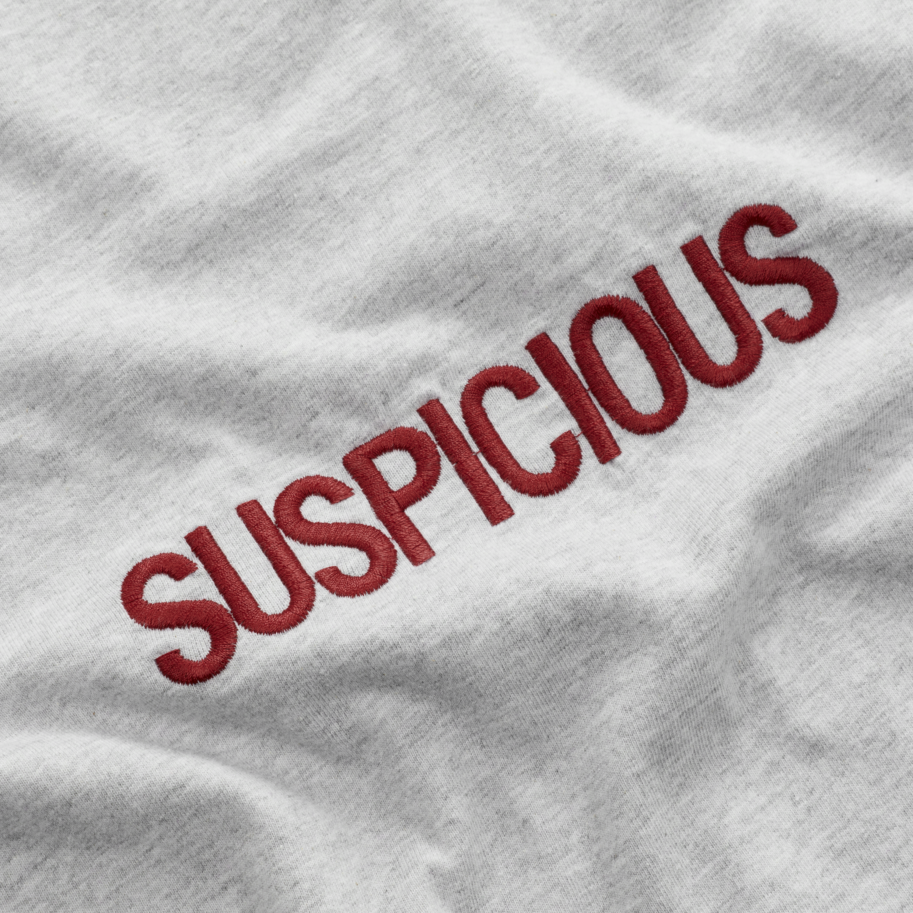 Suspicious Antwerp Fall / Core Longsleeve - Neutral Heather