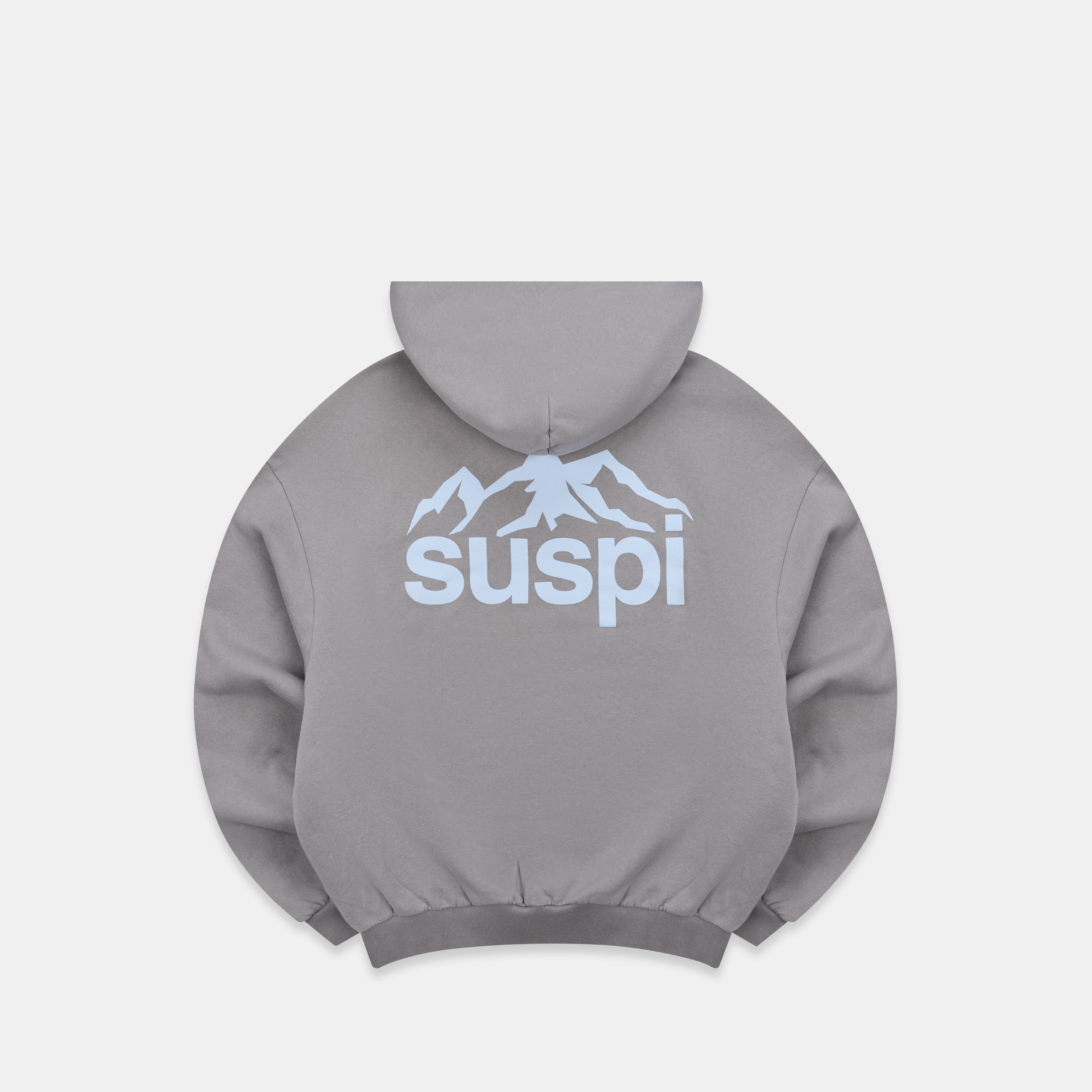 Suspicious Antwerp Winter1 / Landscape Hoodie - Slate