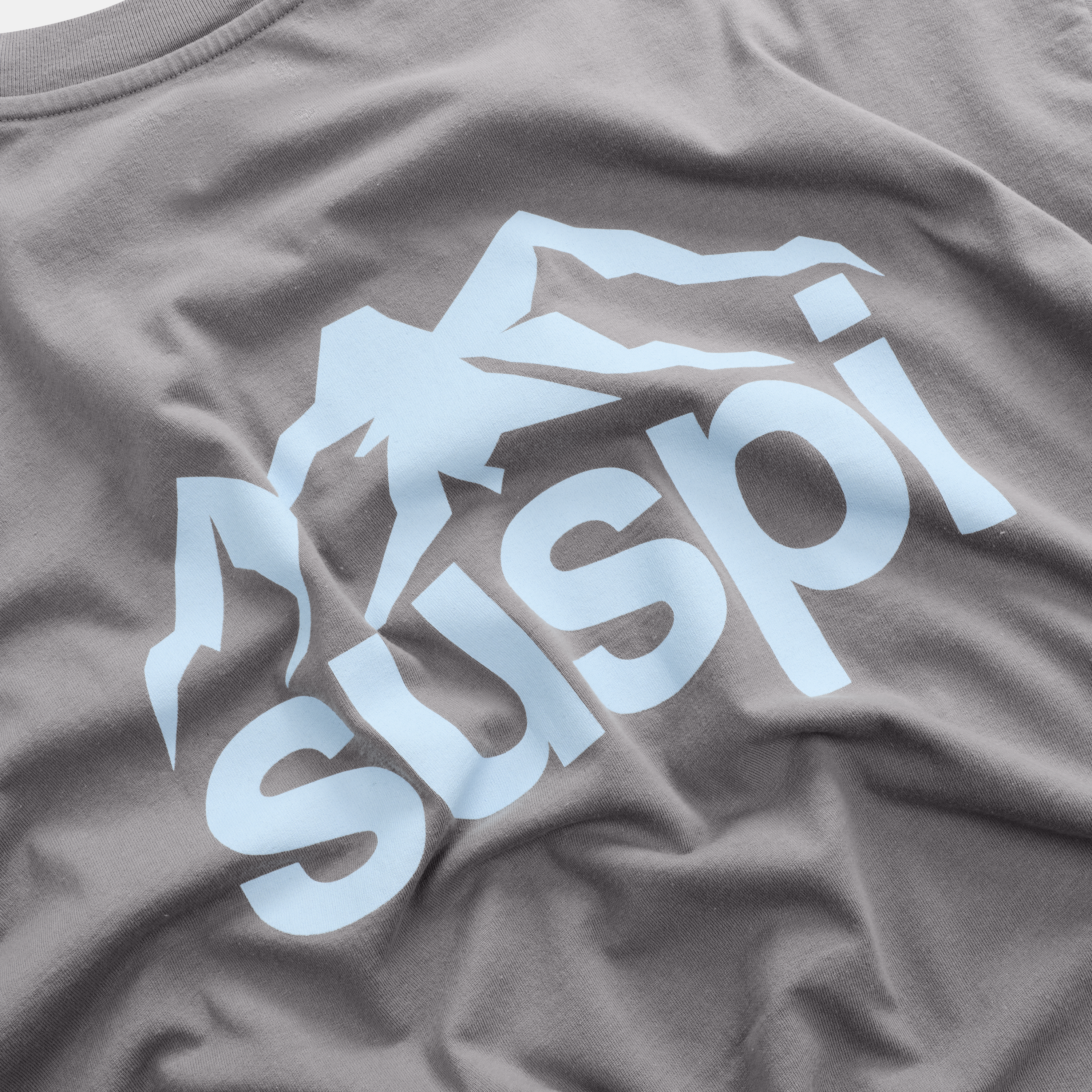 Suspicious Antwerp Winter1 / Landscape Tee - Slate