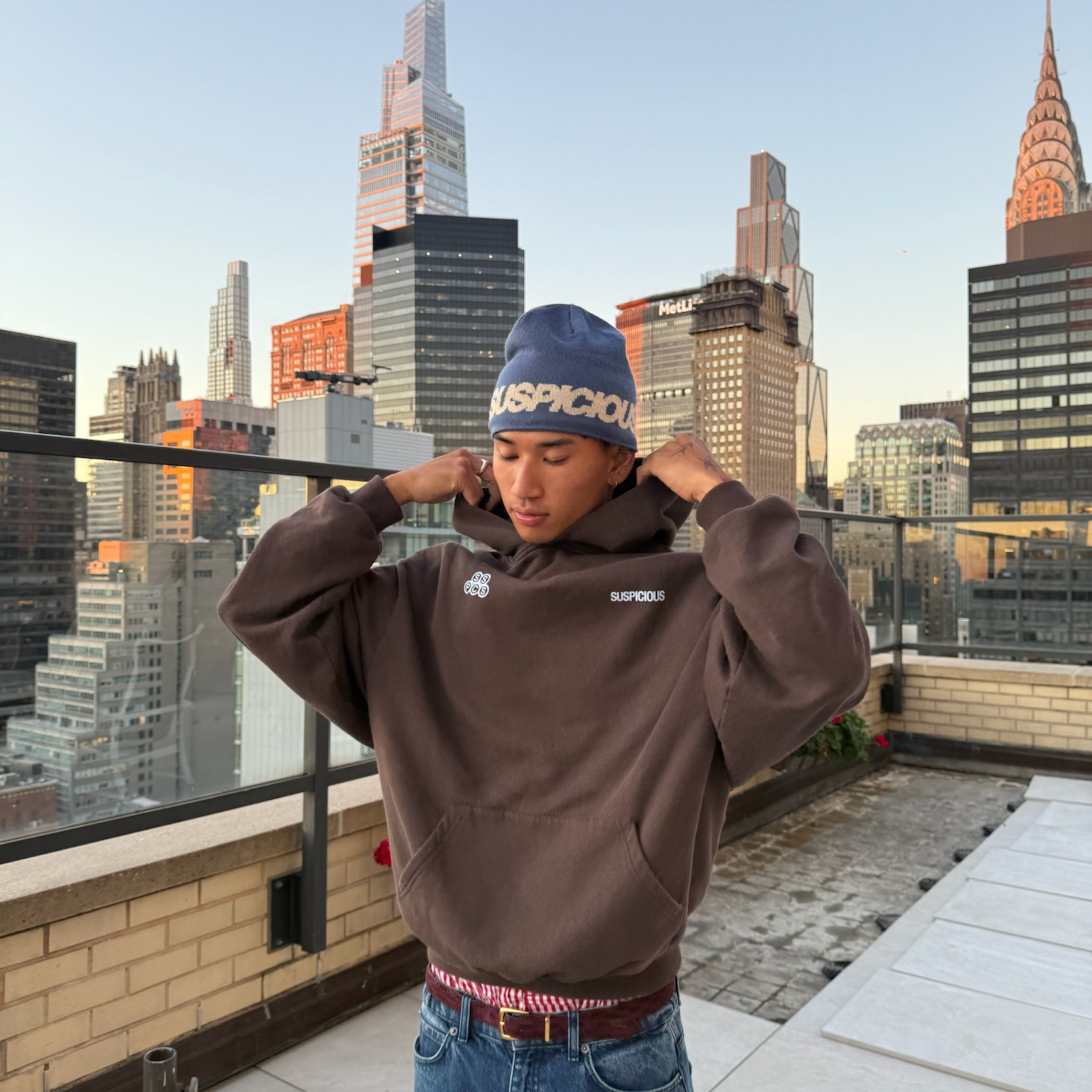 Suspicious Antwerp Winter1 / Landscape Hoodie - Espresso