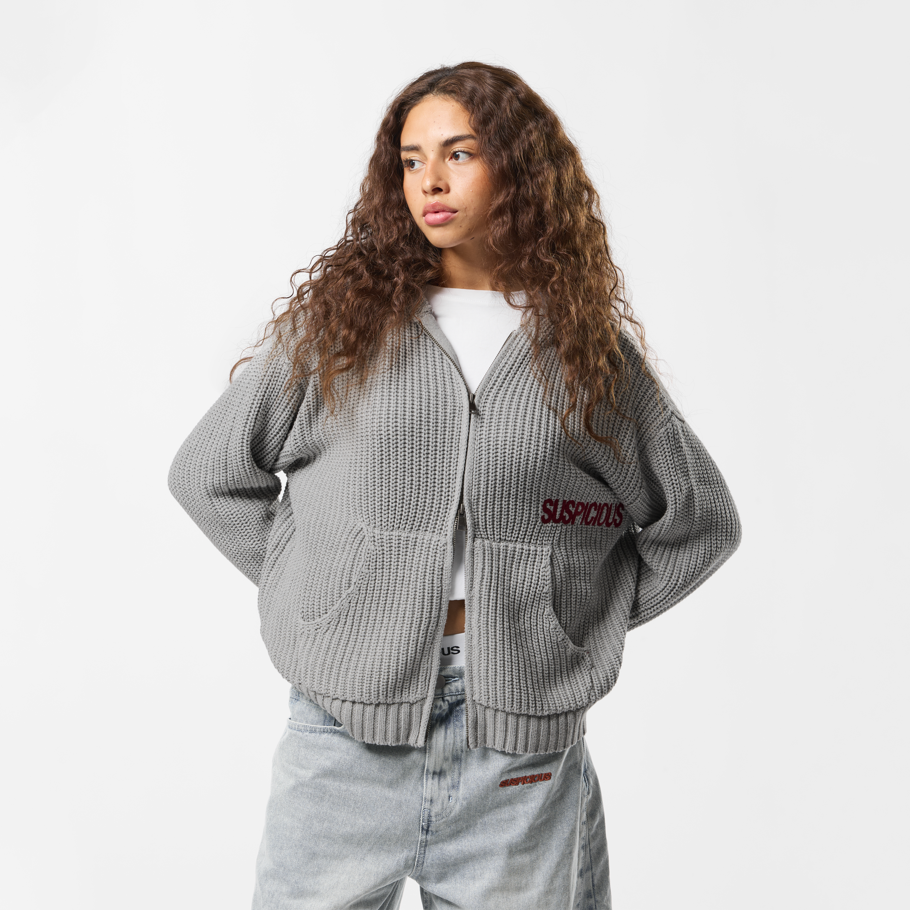 Suspicious Antwerp Fall / Core Zip-Up Knitted Hoodie - Neutral Heather