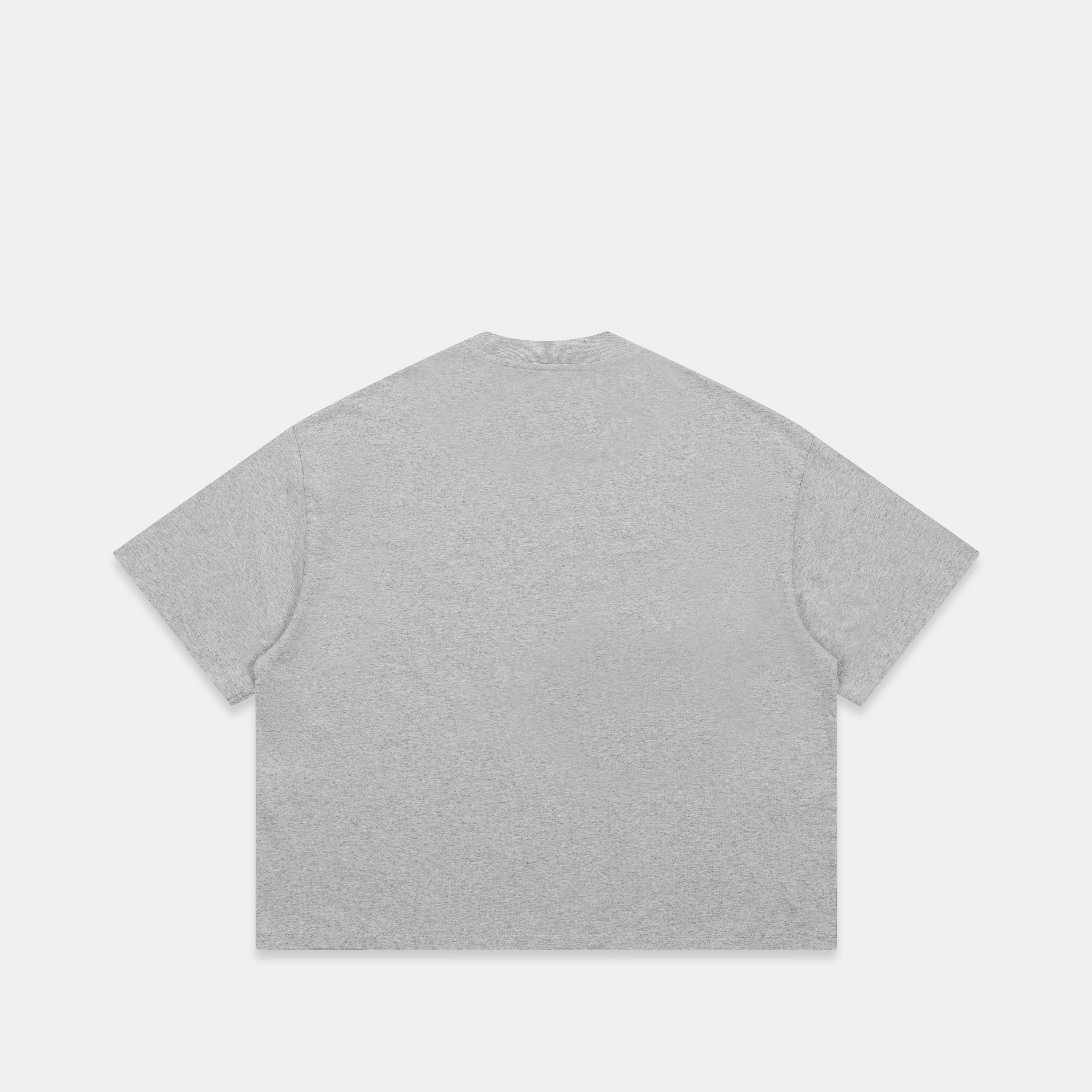 Suspicious Antwerp GTD2 / Suspicious Tee - Neutral Heather